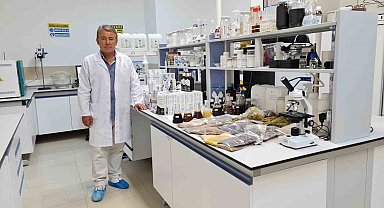 Tıbbi bitkilerin embriyo dönemi, kök hücre özellikleri ve üretimi mercek altına alındı