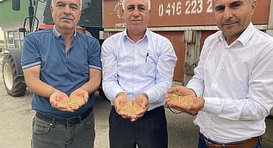 TMO, hububat alımlarına başladı