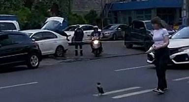 Trafiği durdurup yardım etmek istedi, karganın saldırısına uğradı: O anlar kamerada