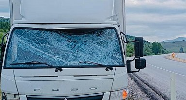 Trafik uyarı tabelasına çarpan kamyonet sürücüsü yaralandı