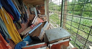 Tüm tedbirler ayıyı durdurmadı, kovanları parçalayan ayı geride pençe izlerini bıraktı