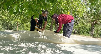 Tunceli'de dut üreticileri dayanışma içerisinde bahçelerini sezona hazırlıyor