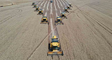 Türkiye'nin tahıl ambarında bu yıl 200 bin ton buğday hasadı bekleniyor
