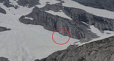 Uludağ'ın zirvesinde ayıların izinde