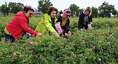 Uluslararası Gül Festivalinde gül toplayıp, gül şehri Isparta'yı tanıdılar
