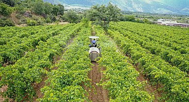 Üreticinin dolu zararı Denizli Büyükşehir desteğiyle önlenecek