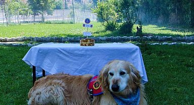 Uyuşturucu arama köpeği 'Altın' pasta kesilerek emekli edildi