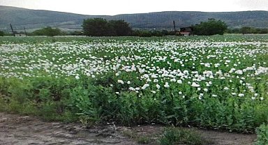 Uyuşturucu tacirlerine Denizli'de büyük darbe