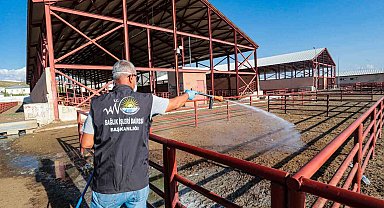 Van Büyükşehir Belediyesi canlı hayvan pazarını ilaçladı