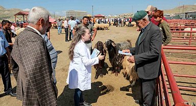 Van Büyükşehir Belediyesinden kurbanlıklar için bilgilendirme