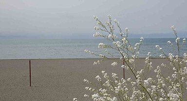 Van Gölü'nün su seviyesinde iyileşme yaşanıyor