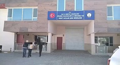 Van'da göçmen kaçakçılığı operasyonu