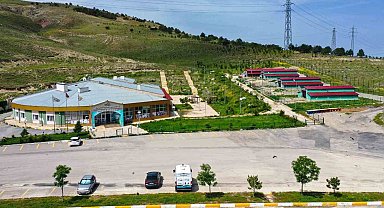 Van'daki barınak sokak hayvanlarına şifa dağıtıyor