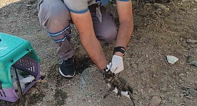 Vatandaş ihbar etti, belediye müdahale etti