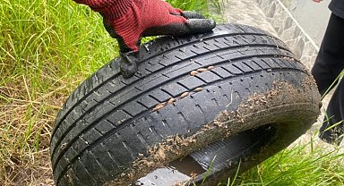 Vatandaşı bezdiren böceklerden kurtulmanın yolları