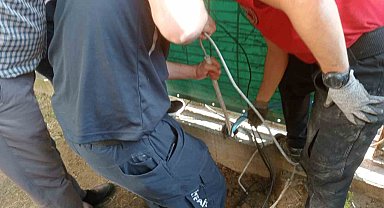 Yağmur borusuna sıkışan kedi 5 saatte kurtarıldı