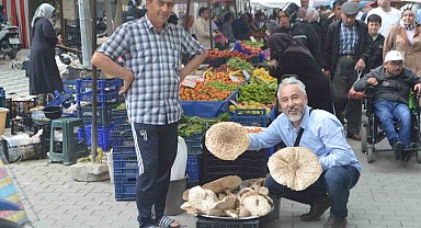Yağmur yağışları sonrası mantar bereketi