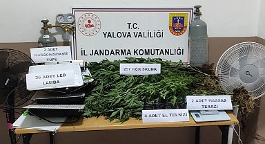 Yalova'da evin bodrumunu uyuşturucu serasına çevirdiler