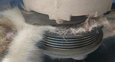 Yalova'da otomobilin klima kayışına sıkışan kedi kurtarıldı