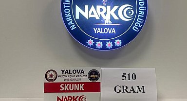 Yalova'da uyuşturucu operasyonlarında 2 tutuklama