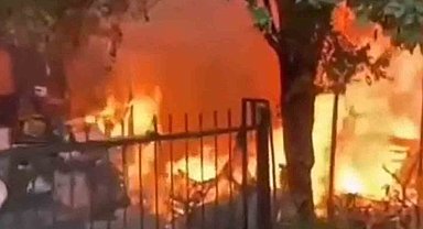 Yanan evden yavru kedi kurtarıldı