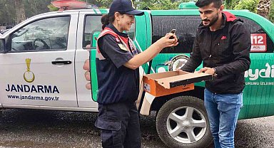 Yaralı Ebabil kuşu eve sığındı