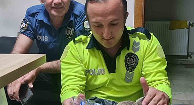 Yaralı yavru karacaya polis ekipleri sahip çıktı