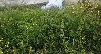 Yaşlı adam apartman bahçesinde ölü bulundu