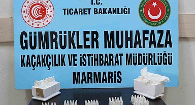 Yavru tarantula siparişi verdi, "biyoloji dersi" için dedi