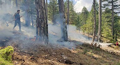 Yaz yağmurları yıldırım yangınlarını arttırdı