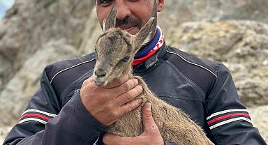 Yeni doğan yavru dağ keçisini gören motosiklet tutkunlarının heyecanı gülümsetti