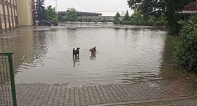 Yolu su bastı, esnaf ise sandalyesini alıp keyif yaptı