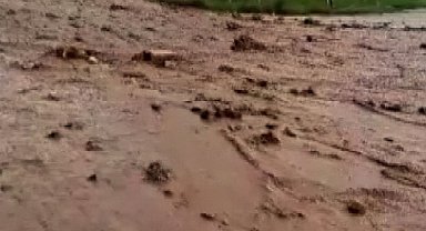 Yozgat'ta kuvvetli yağış sele neden oldu