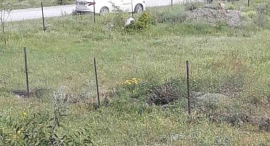 Yüksek gerilim hattındaki akıma kapıldı, ağır yaralandı