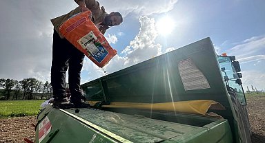 Yüksekova'da ayçiçeği ekimi