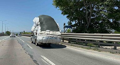 Yükü kendinden büyük