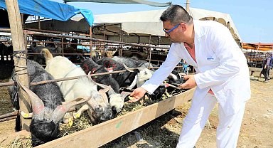 Yüreğir'de kurban satış ve kesim yerleri belirlendi