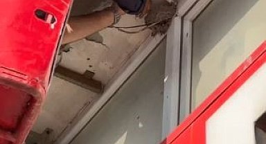 Yuvasından düşen yavru kuşun yardımına itfaiye ekipleri yetişti