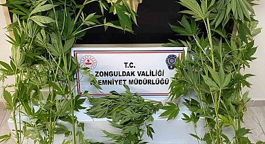 Zonguldak'ta uyuşturucu operasyonu