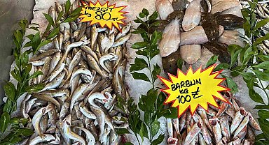 150 liraya kadar çıkan hamsi, 50 liraya düştü