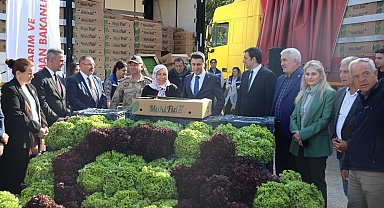 2 milyon 900 bin marul fidesi dağıtımı yapıldı