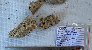 2400 yılık antik kentte salgın araştırması