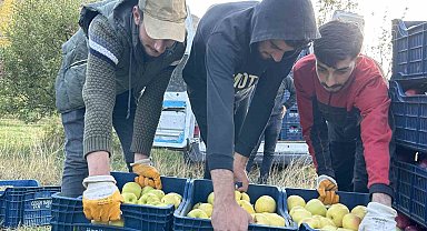 30 yıl önce İran'dan getirdiği meyve ağaçlarından ton ton ürün alıyor