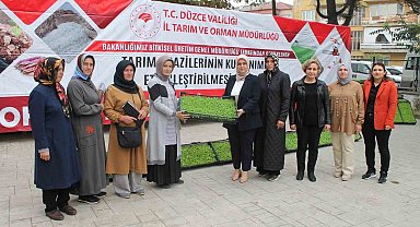 350 bin marul fidesi dağıtıldı