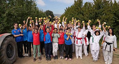 'Bizim elimiz sadece armut toplamaya kalkar'