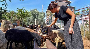 'Hadi gel köyümüze destek verelim' projesi büyümeye devam ediyor