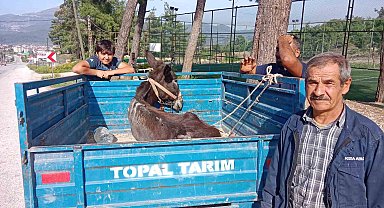 'Karakaçan'ın patpat römorkundaki veteriner yolculuğu yürekleri ısıttı