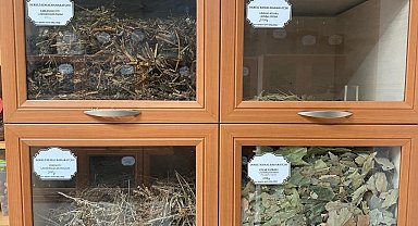 43 yıllık aktardan "kış çayı" önerisi