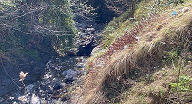 5 yaşındaki kızıyla kazada ölen baba yanyana defnedildi