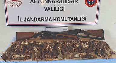 77 bıldırcını kaçak avlayan iki kişiyi jandarma yakaladı